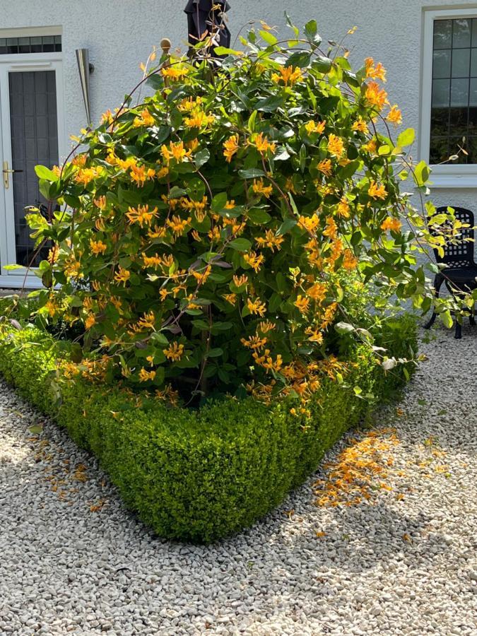 Bed and Breakfast Retreat At The Knowe Auchincruive Estate Ayr Zewnętrze zdjęcie