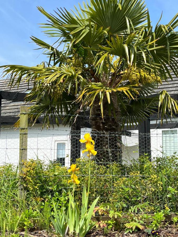 Bed and Breakfast Retreat At The Knowe Auchincruive Estate Ayr Zewnętrze zdjęcie