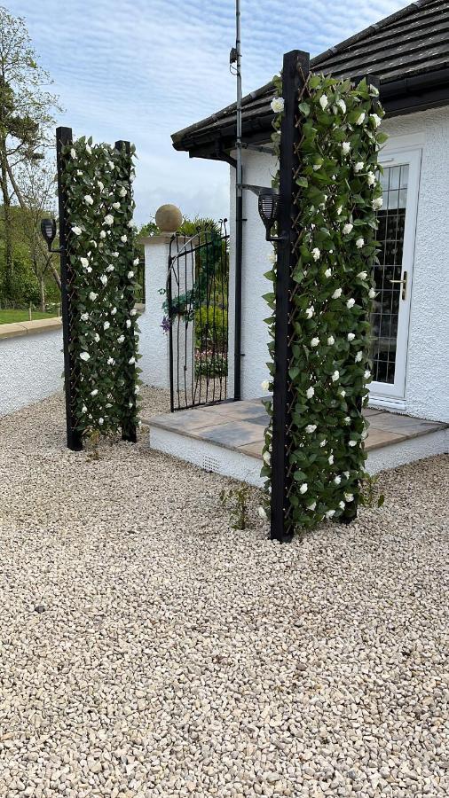 Bed and Breakfast Retreat At The Knowe Auchincruive Estate Ayr Zewnętrze zdjęcie