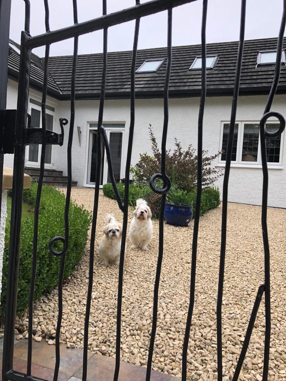 Bed and Breakfast Retreat At The Knowe Auchincruive Estate Ayr Zewnętrze zdjęcie