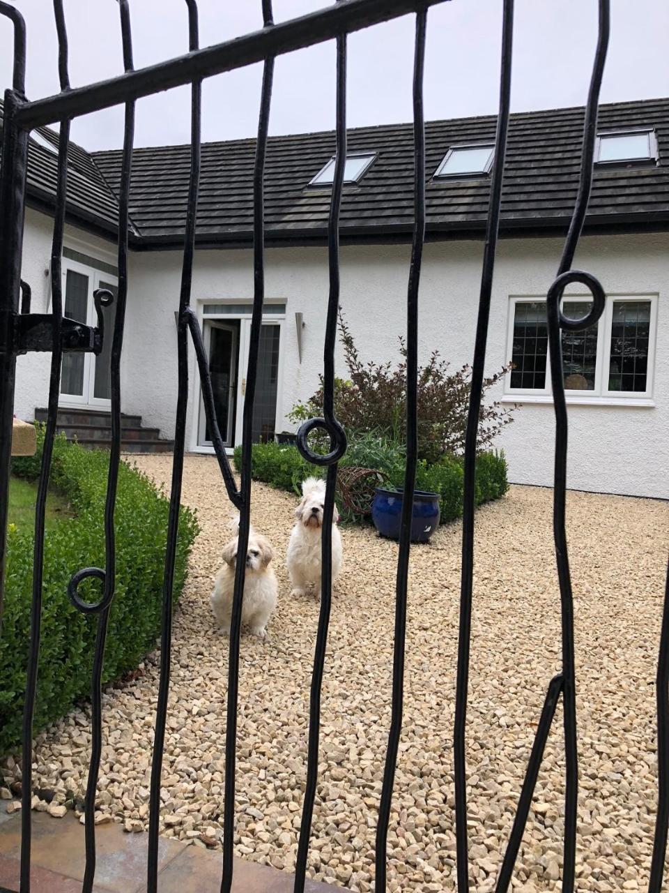 Bed and Breakfast Retreat At The Knowe Auchincruive Estate Ayr Zewnętrze zdjęcie
