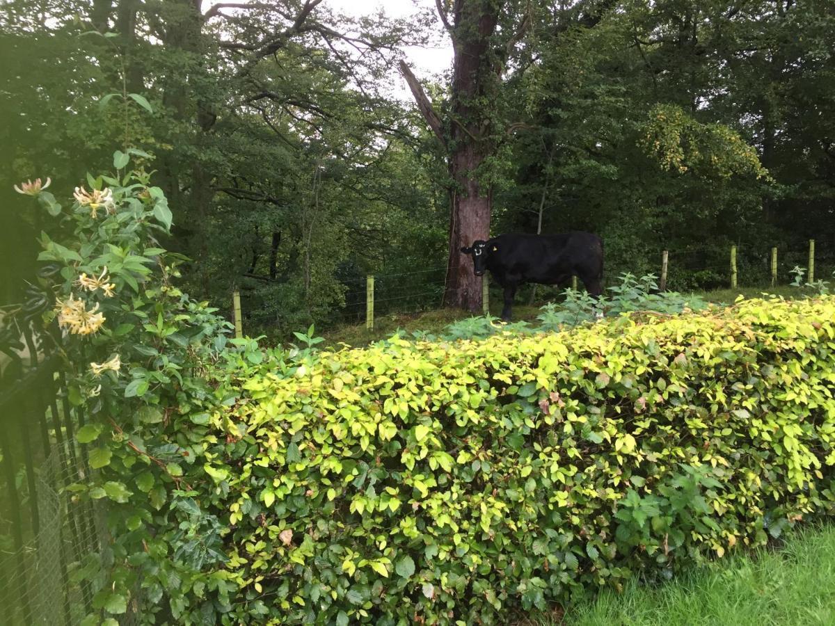 Bed and Breakfast Retreat At The Knowe Auchincruive Estate Ayr Zewnętrze zdjęcie